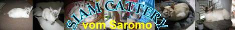 Siam Cattery vom Saromo