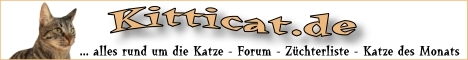 Kitticat Katzen Forum